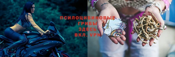 СК Инта