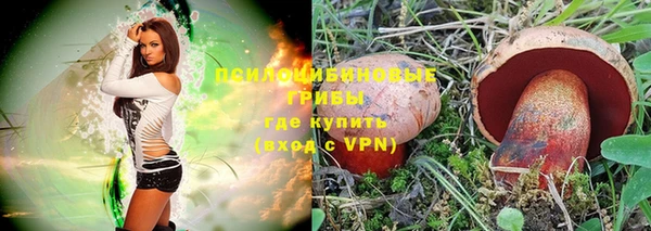 гидропоника Иннополис